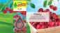 Preview: Wunderbaum Clip Cherry Duftclip zum Anclipsen mit fruchtigem Kirschduft für Auto und kleine Räume - Beschreibung