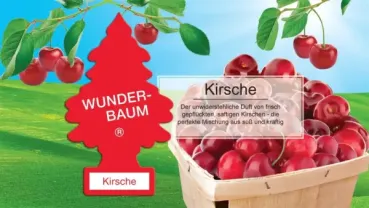 Preview: Wunderbaum Kirsche Original Duftbaum zum Aufhängen in Baumform mit süß-fruchtigem Kirschduft für Auto und Zuhause - Beschreibung